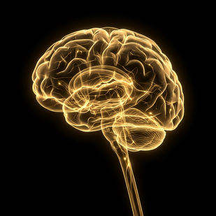 Week 1: The Foundation Sets